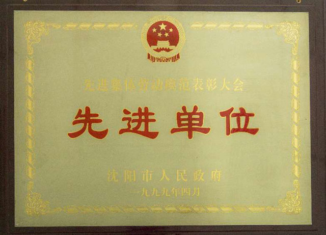 沈阳市先进单元