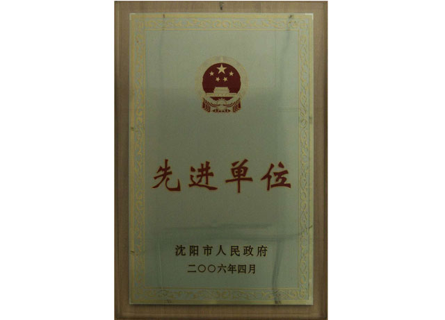 沈阳市先进单元